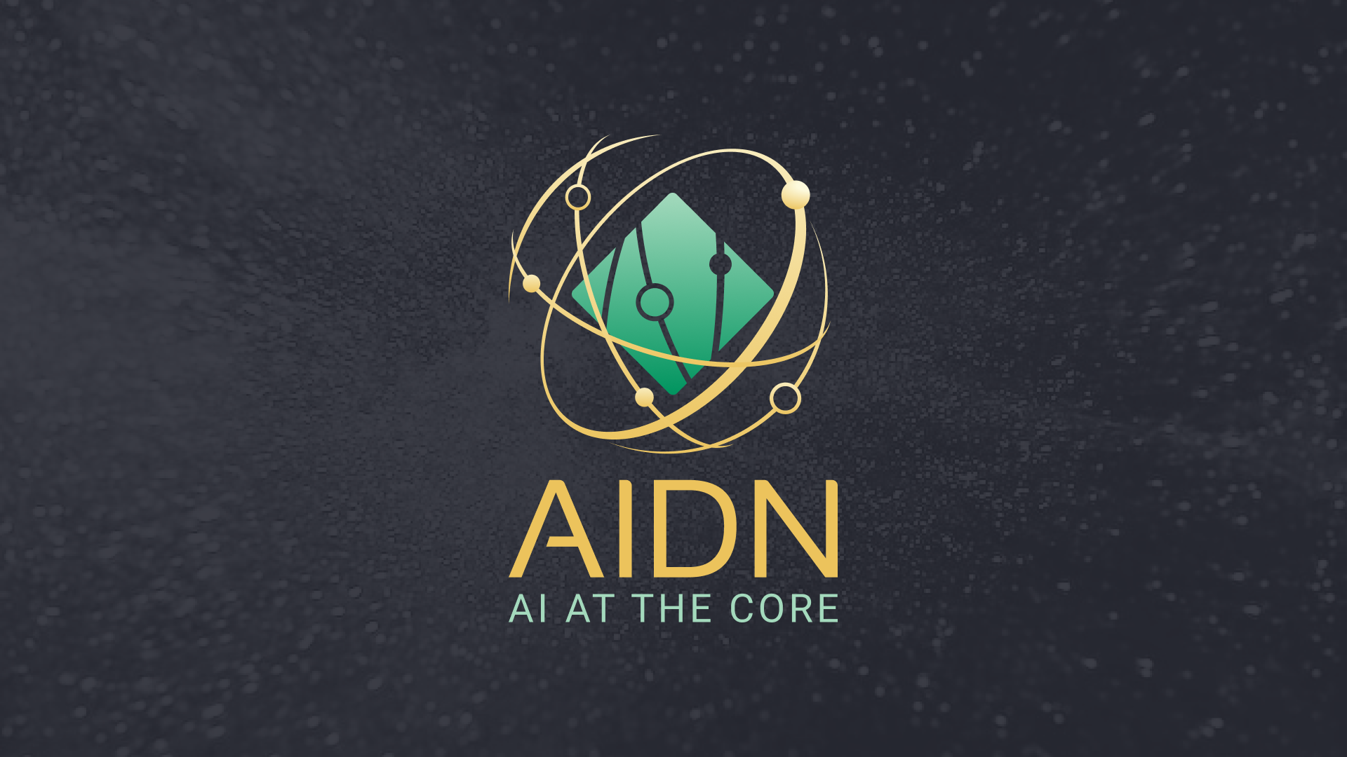 AIDN Aidn Brand Guide 0